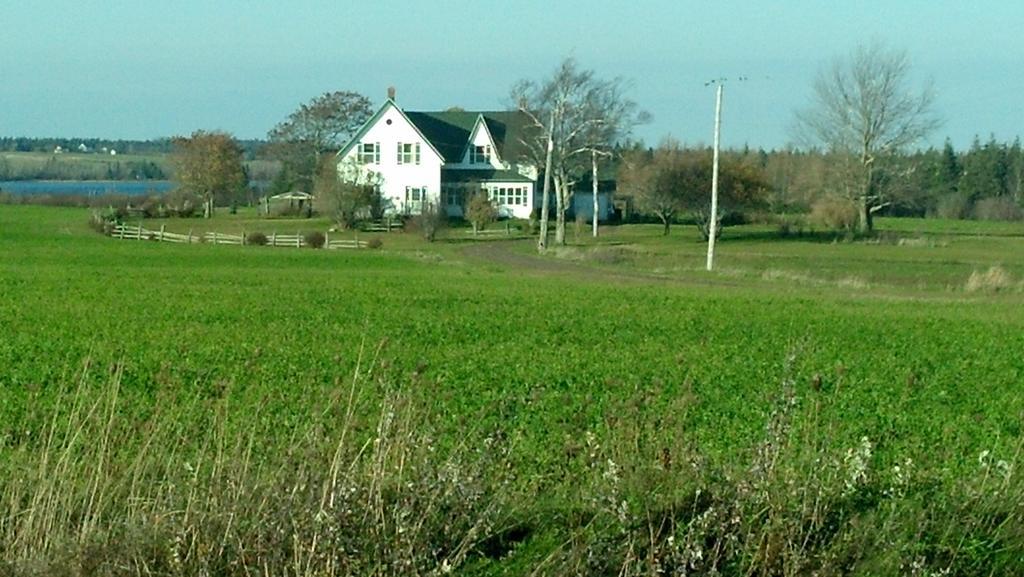 Lovely Green Gable Home Miscouche Luaran gambar