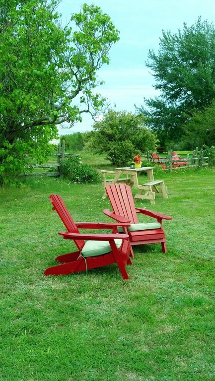 Lovely Green Gable Home Miscouche Luaran gambar