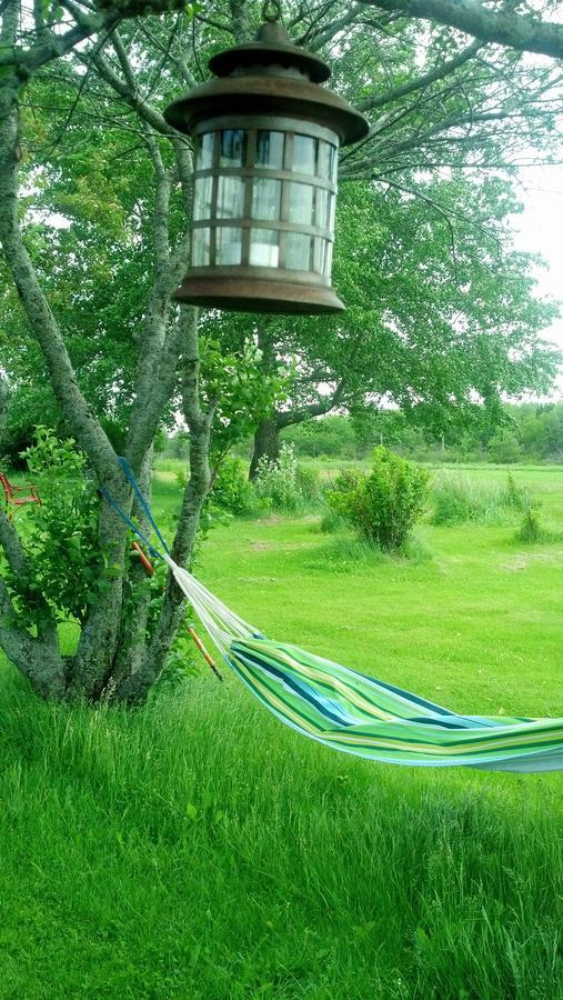 Lovely Green Gable Home Miscouche Luaran gambar